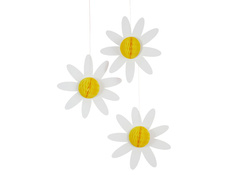 Rozeta margareta - 3 buc.