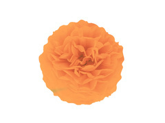 Decorațiuni florale suspendate pom pom - portocaliu - 35 cm - 1 buc.