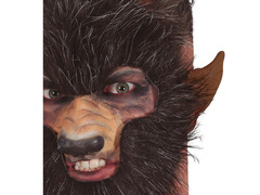 Urechi de vârcolac - 1 buc.