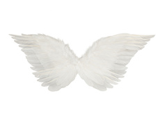 Aripi de înger albe - cm - 1 buc.