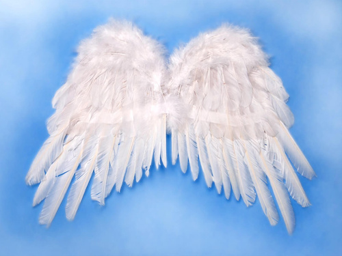 Aripi de înger albe - 50 x 35 cm - 1 buc.