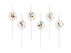 Paie Ziua de naștere Cai - 6 buc.