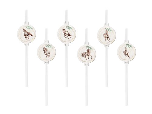 Paie Ziua de naștere Cai - 6 buc.