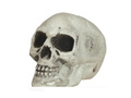 Cranii de Halloween - 8 cm - 6 buc.