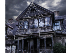 Pânză de păianjen - 500 cm - 1 op.