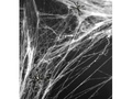 Pânză de păianjen cu 2 păianjeni - Halloween web - 60g.