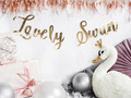 Banner aniversar Lovely Swan - 64 x 21.3cm - 1 buc.