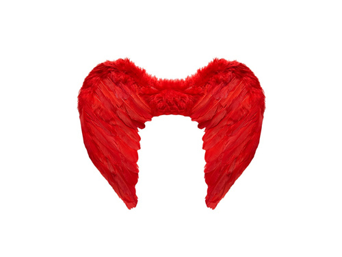 Aripi cu pene roșii 50×40 cm