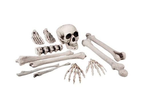 Set zaruri craniu - 12 buc.