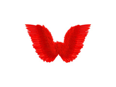 Aripi cu pene roșii 78×36 cm