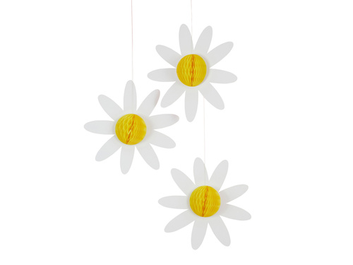 Rozeta margareta - 3 buc.