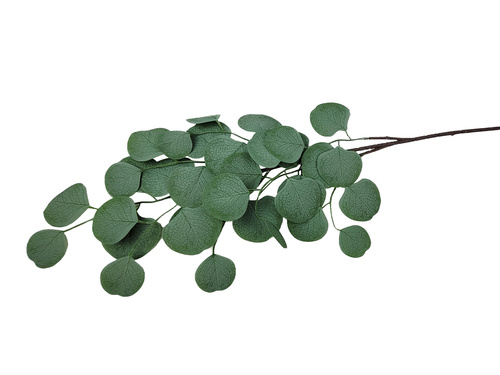Eucalipt ramură decorativă decor - 76 cm - 1 buc.