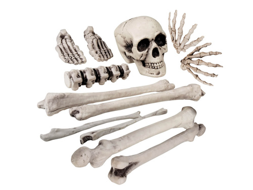 Set zaruri craniu - 12 buc.