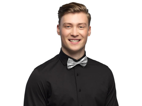 Muscă argintie cu sclipici - 1 buc.