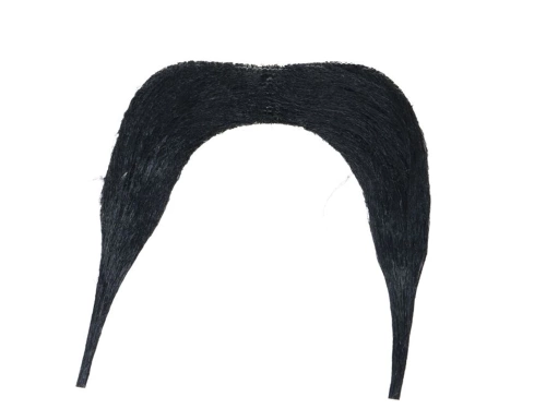 Mustață chinezească neagră - 1 buc.