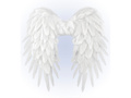 Aripi de înger albe - 50 x 50 cm - 1 buc.