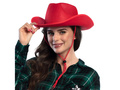 Pălărie de cowboy roșie - 1 buc.