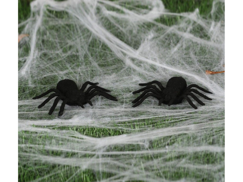 Set de 2 păianjeni din plastic - 10 cm