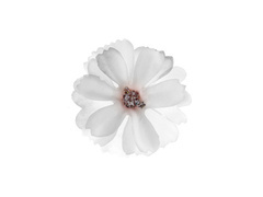 Petale de flori albe - 12 buc.