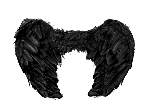 Aripi de înger negru - 60 x 45 cm