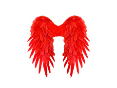 Aripi de pene pliabile roșii 50×50 cm