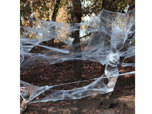 Pânză de păianjen cu 25 de păianjeni - 500 g - 1 op.