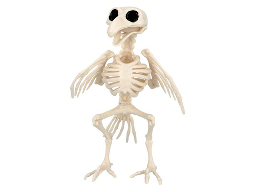 Skeleton Dragon decor - 20 cm - 1 buc.