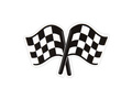 Șervețele aniversare Racing Flags - 17,5 x 11,3 cm - 12 buc.