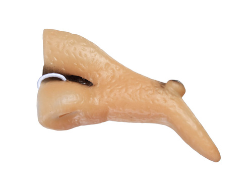 Nas de vrăjitoare - 1 buc.