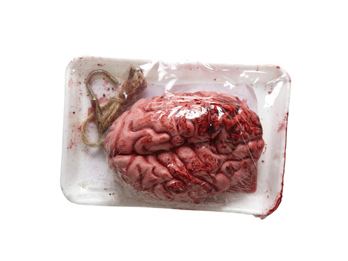 Creier artificial pe o tavă - 1 buc.