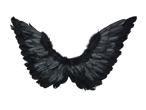 Aripi de înger negre cu aureolă - 72 x 40 cm - 1 buc.