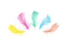 Pene decorative mix de culori scurte - 50 buc.