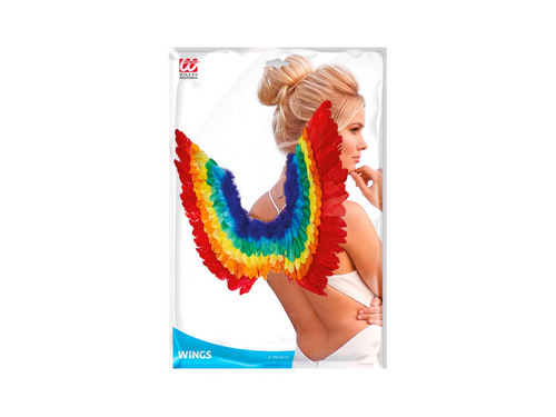 Aripi de pene curcubeu 60×40 cm