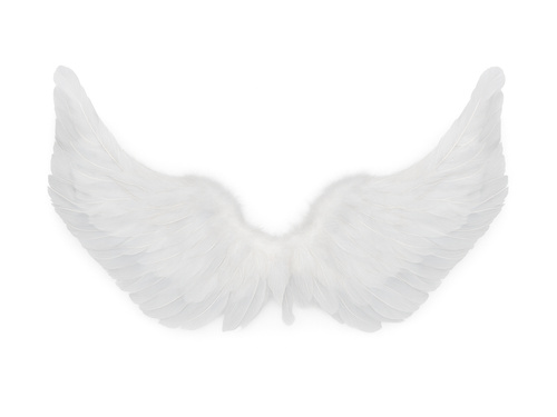 Aripi de înger albe - cm - 1 buc.