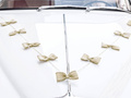 Set de decorațiuni auto Bows - 4 elemente.