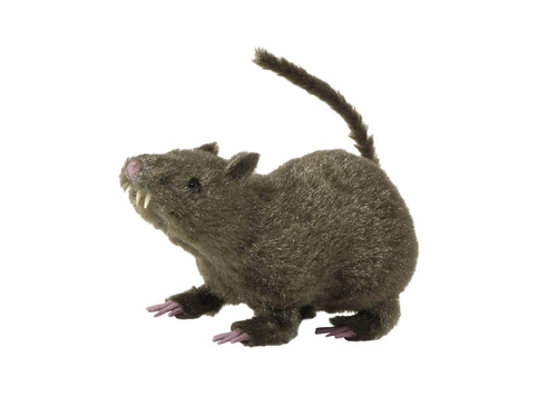 Decorațiune pentru șobolani - 21 cm - 1 buc.