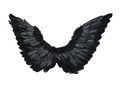 Aripi de înger negre cu aureolă - 72 x 40 cm - 1 buc.