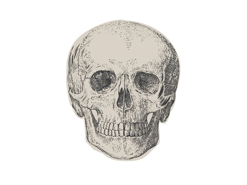 Șervețele de hârtie Czacha - 16 x 16 cm - 16 buc.