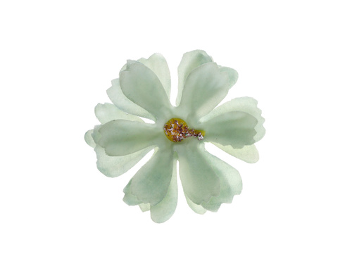 Petale de flori verzi - 12 buc.