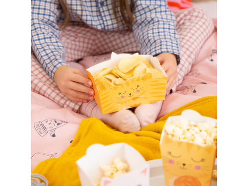 Cutii de chipsuri pentru pisici - 3 buc.