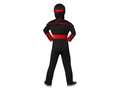 Ninja Dragon costum