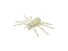 Spider Skeleton decor - 24 cm - 1 buc.