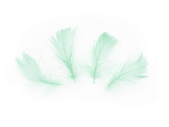 Pene scurte verzi decorative - 50 buc.