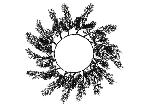 Baze pentru farfurii cu crenguțe negre - 40 cm - 4 buc.