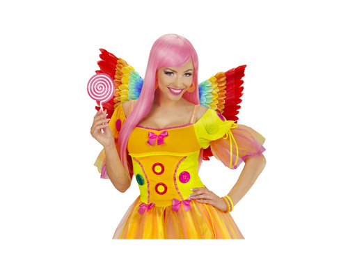 Aripi de pene curcubeu 60×40 cm