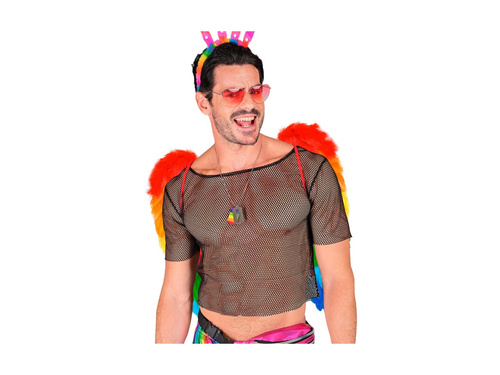 Aripi de pene pliabile Rainbow 50×50 cm