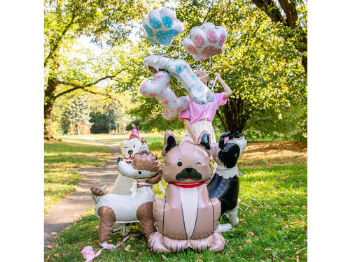 Border Collie câine în picioare balon de folie - 76x92 cm - 1 buc.