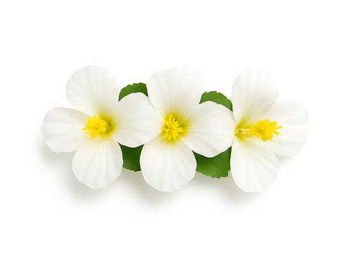 Pin floare hawaiiană alb - 1 buc.