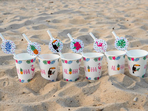 Paie de petrecere Aloha - 6 buc.