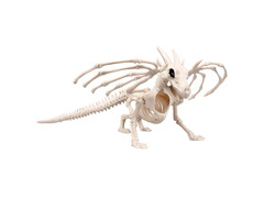 Skeleton Dragon decor - 37 cm - 1 buc.